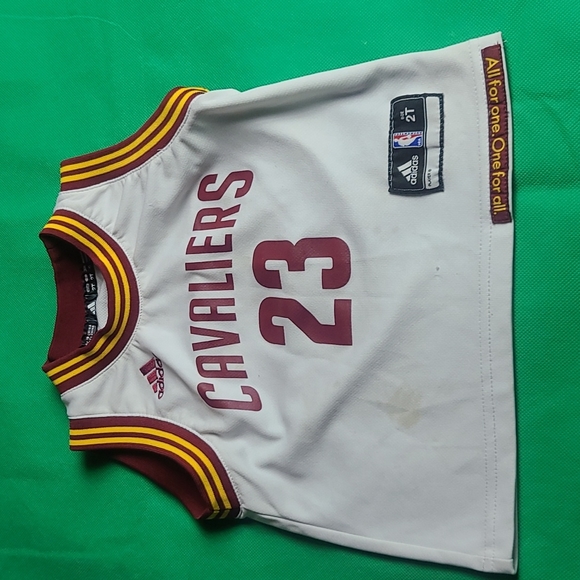James 23 Cavaliers Jersey